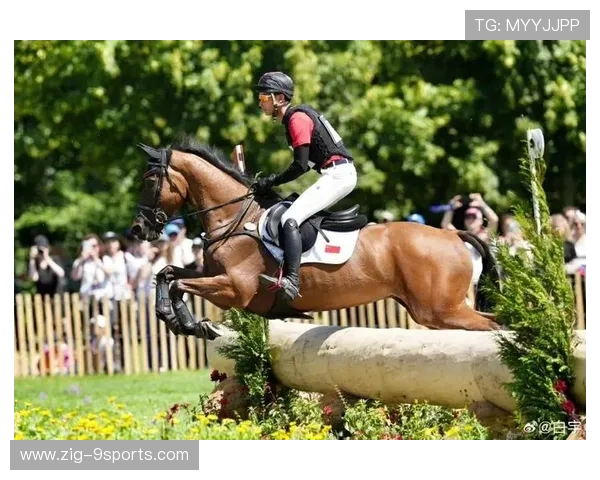 法国马术队在巴黎奥运会上勇夺团体三项赛银牌，展现强大实力。